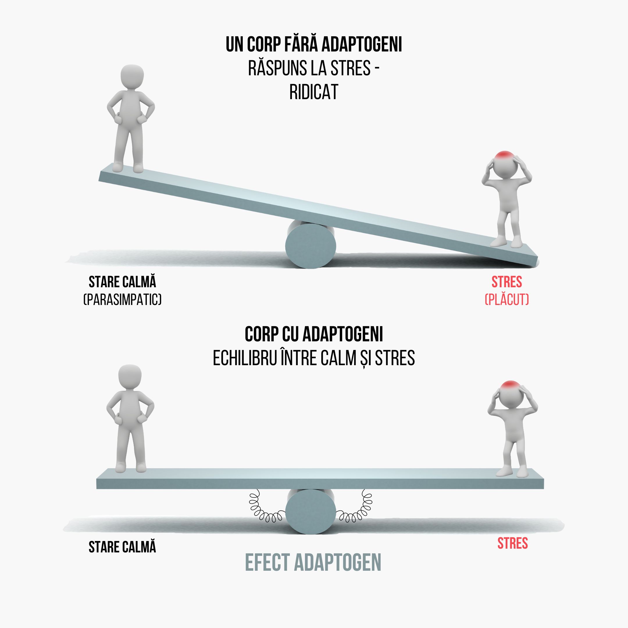 (Rumunština) Adaptogenni efekt